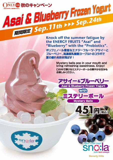 スノーラのフローズンヨーグルト アサイー&ブルーベリー
